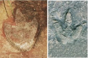 Passende Dinosaurierspuren wurden in Afrika und Südamerika gefunden