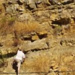 El «hombre de ámbar» libanés desentierra tesoros de la era de los dinosaurios