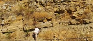 El «hombre de ámbar» libanés desentierra tesoros de la era de los dinosaurios